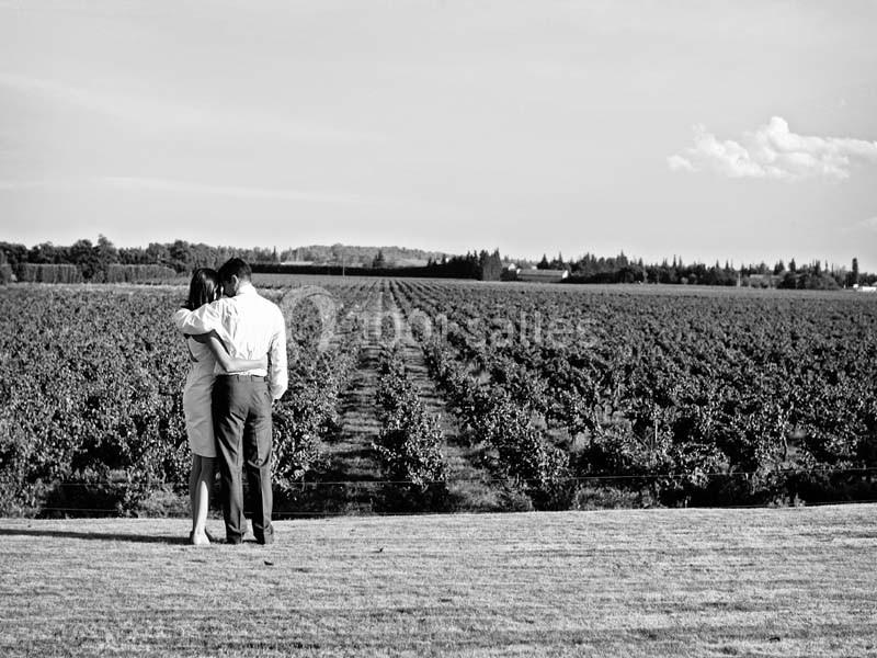 Un couple de dos observe un vaste champ de vignes sous un ciel dégagé.
