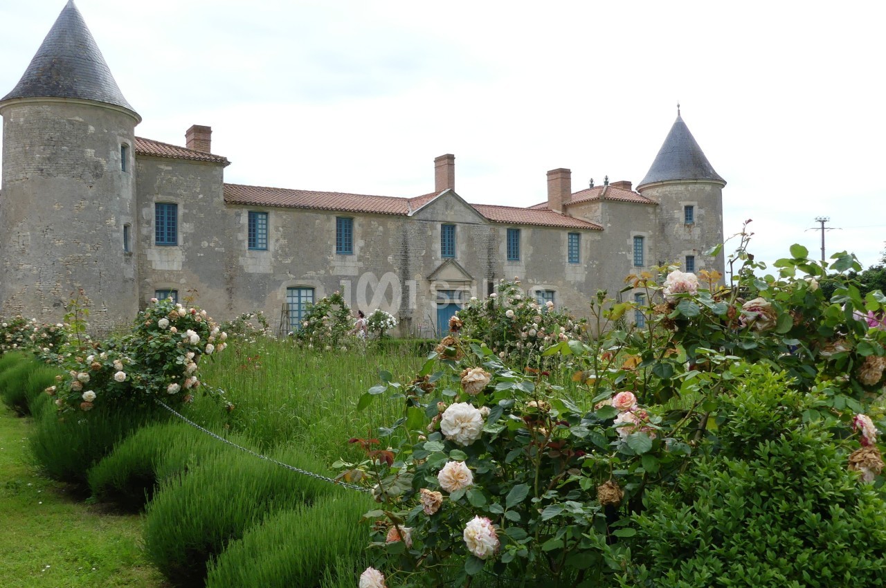Château en pierre avec tours rondes, entouré de rosiers en fleurs et d'une pelouse verdoyante.