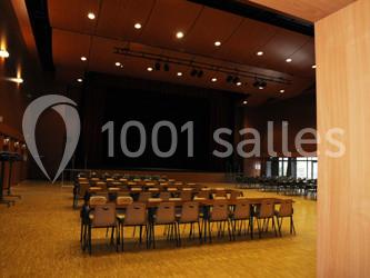 Salle André Malraux - galerie - photo 4