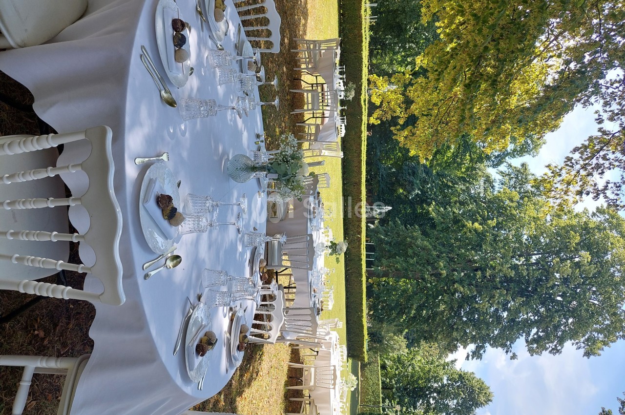 Château de Rajat - galerie - photo 44