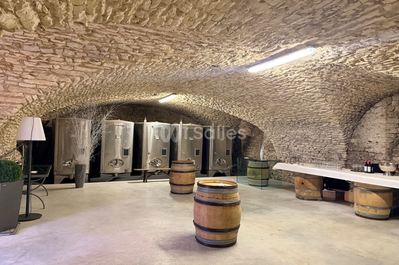 Cave voûtée en pierre avec des fûts en bois, des cuves en inox et un espace aménagé avec une table et des décorations.