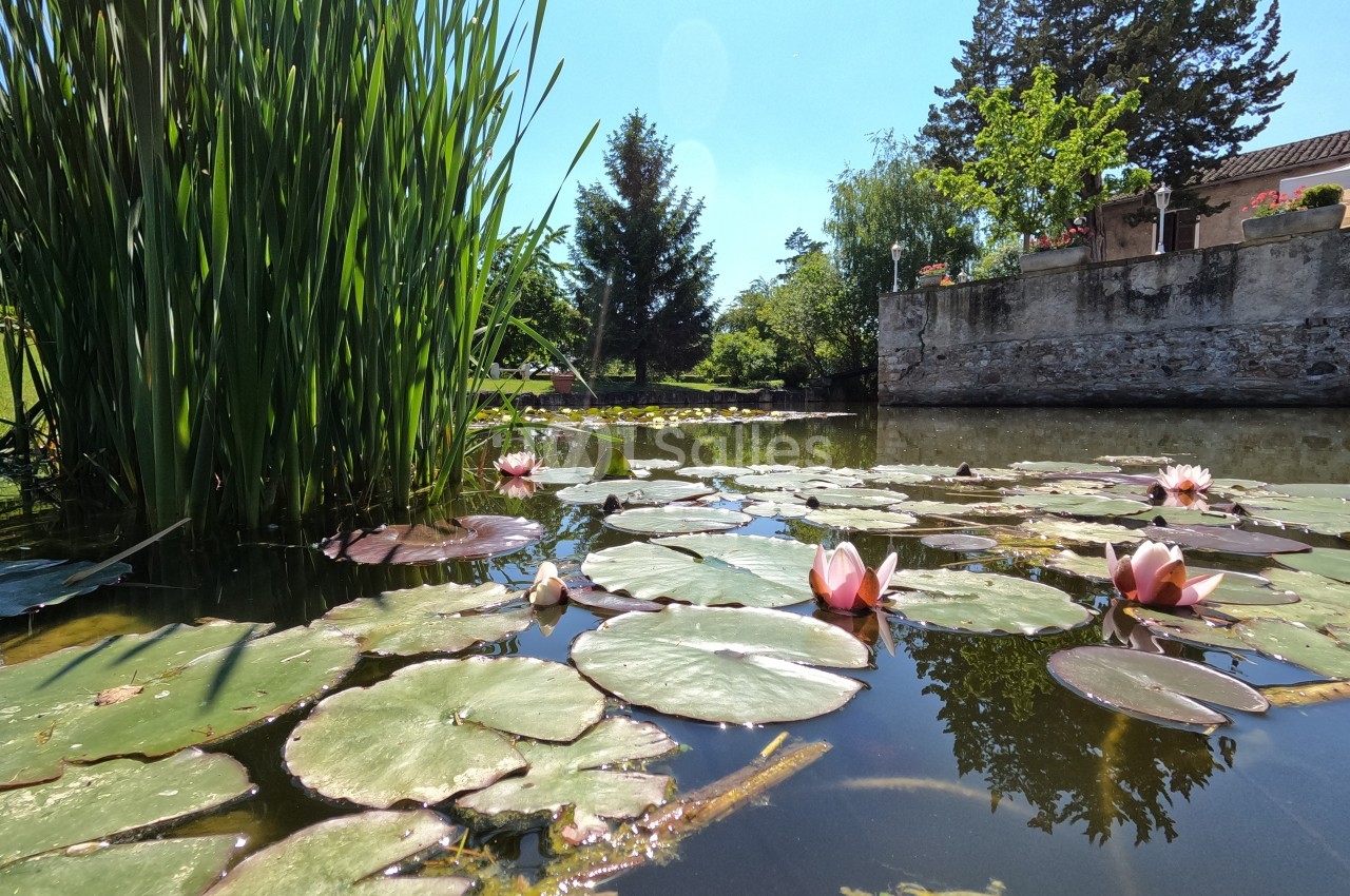 Étang avec des nénuphars en fleurs, entouré de végétation et d'un bâtiment en pierre sous un ciel dégagé.