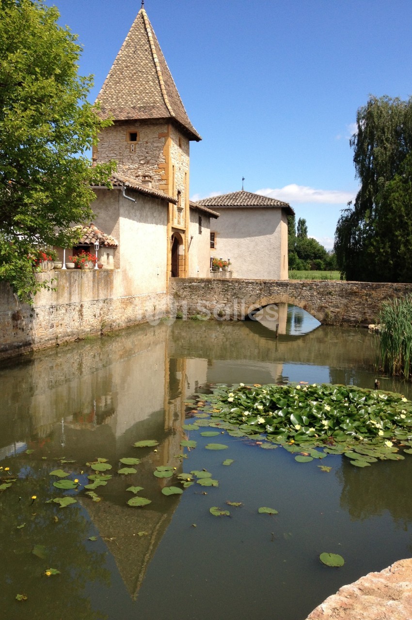 Vue d'un bâtiment ancien avec une tour, entouré d'un fossé d'eau calme, des nénuphars et un petit pont en pierre.