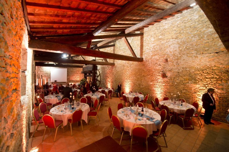 Château de Janzé - photo 4