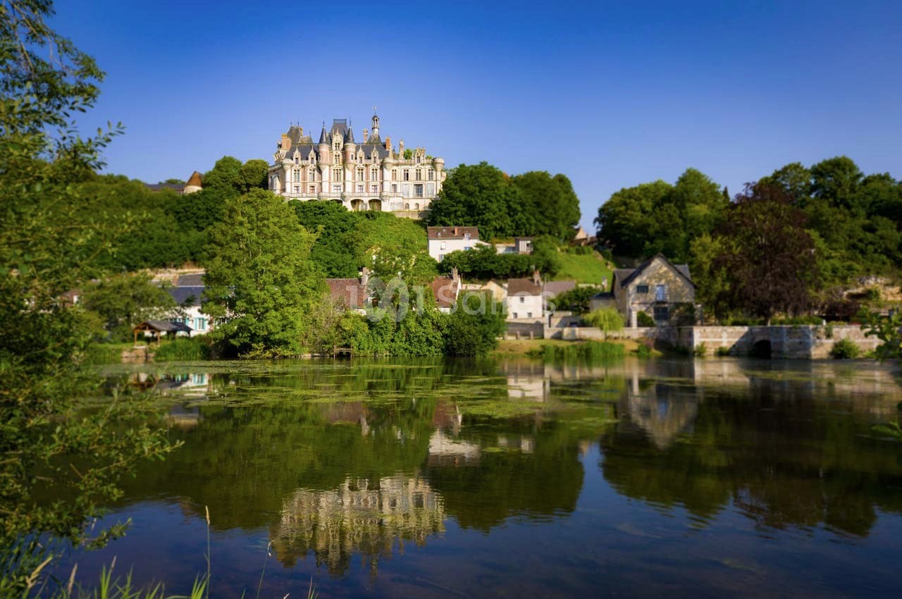 Château de Montigny Le Gannelon - galerie - photo 1