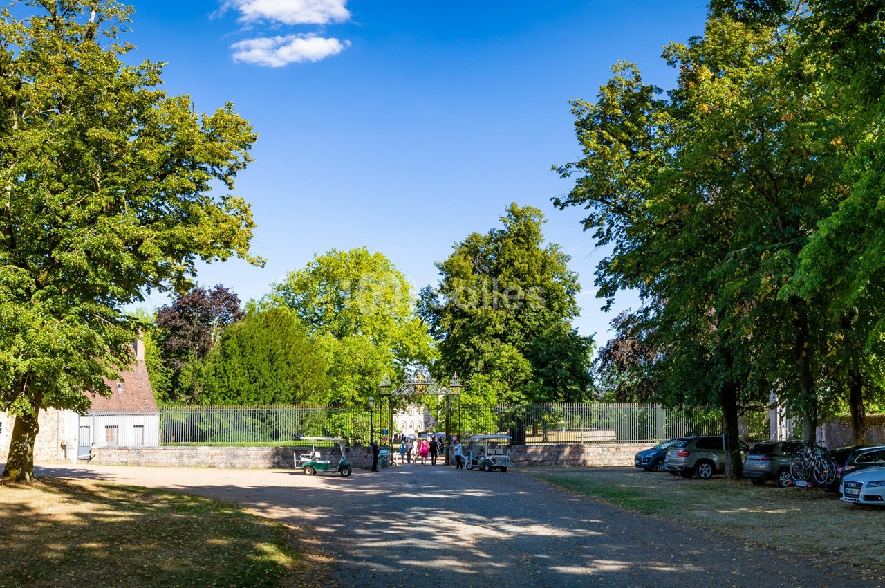 Château de Montigny Le Gannelon - galerie - photo 23