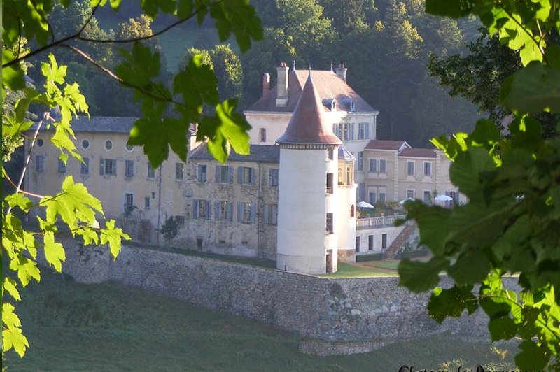 Château De Pramenoux - photo 2