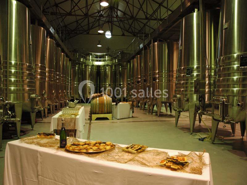 Château Saint Julien D'aille - galerie - photo 11