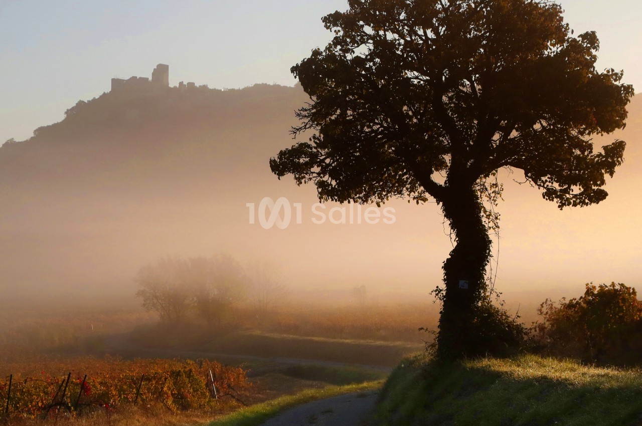 Le Clos de l'Amandaie - galerie - photo 28