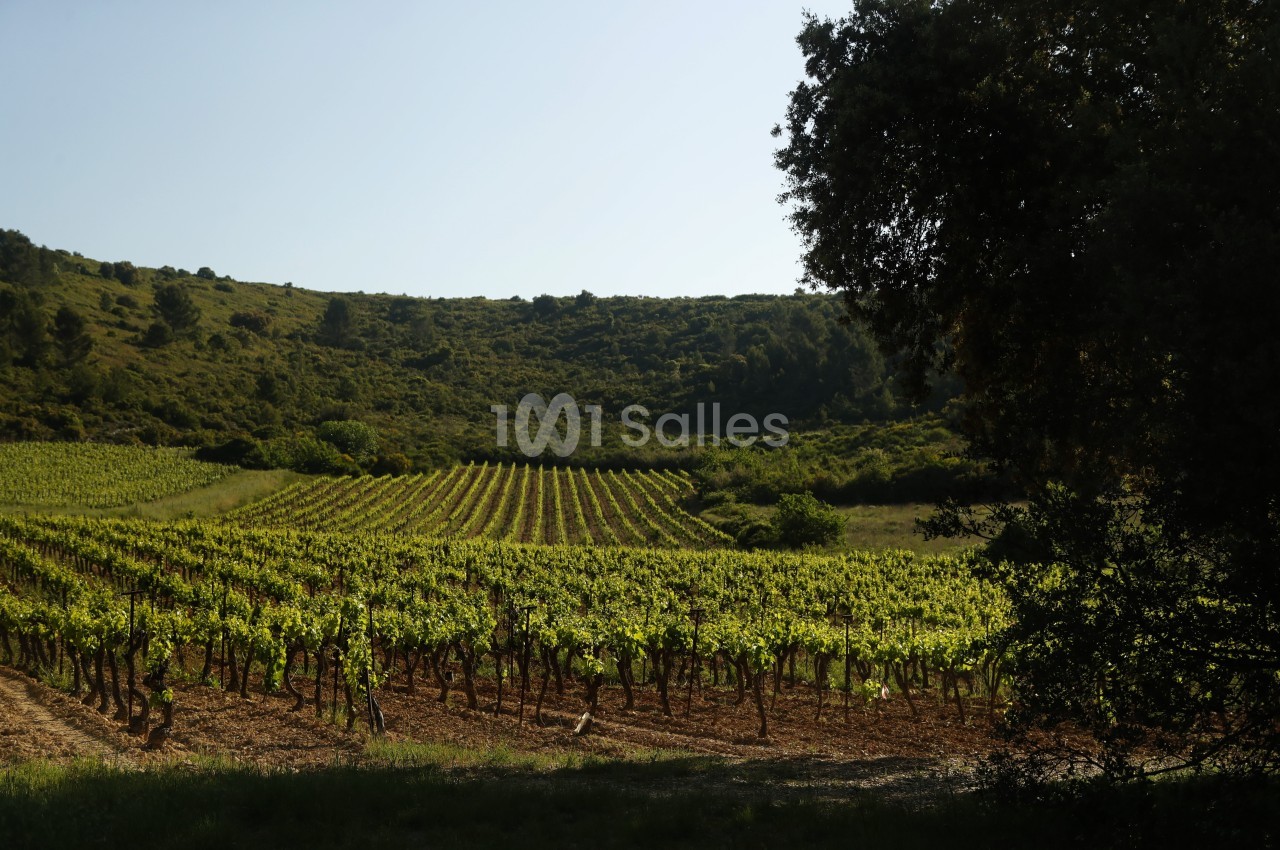 Le Clos de l'Amandaie - galerie - photo 30