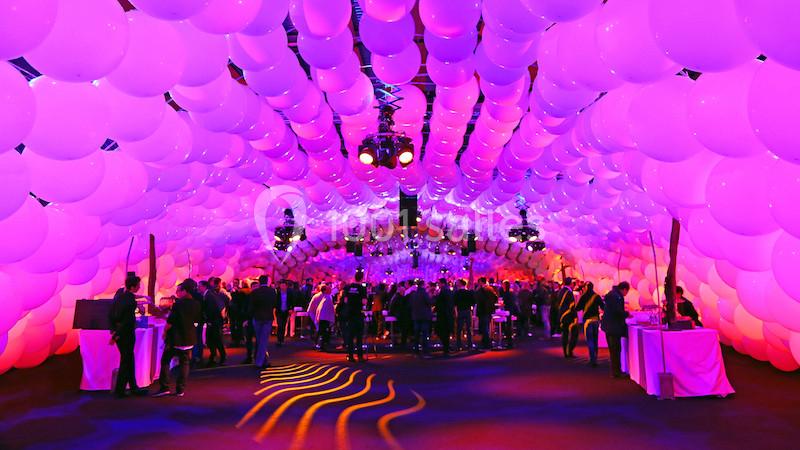 Lille Grand Palais - galerie - photo 7